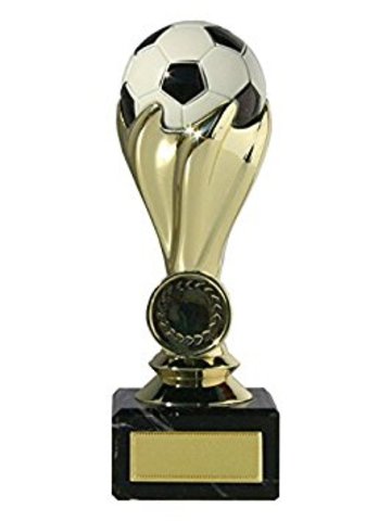 The football tournament with the team of trained