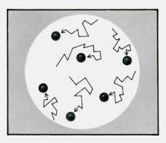 MOVIMIENTO BROWNIANO