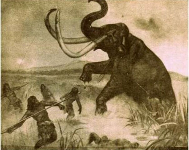 Fauna prehistórica en el occidente de México