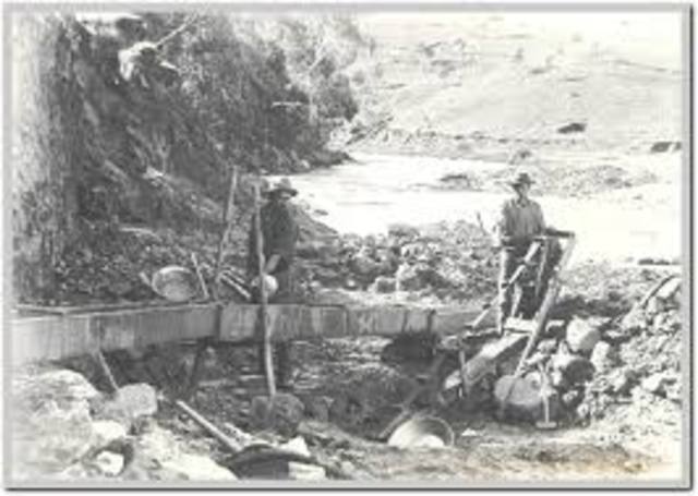 Introduction of Commercialisation