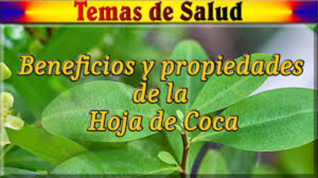 VIRTUDES DE LA COCAÍNA