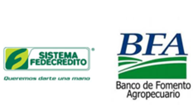 Instituciones oficiales de crédito