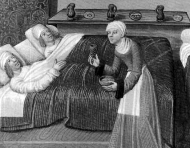 Hermandad de la vida común Hermanos Alejianos