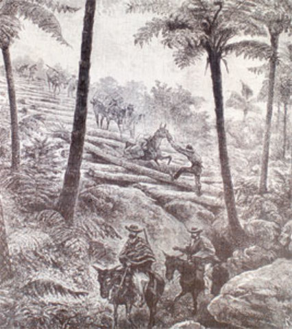 Colonización Antioqueña