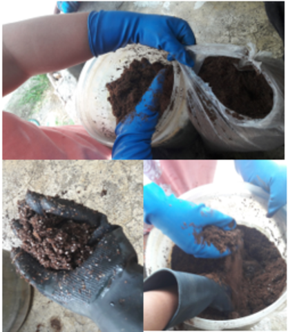 Preparación del Sustrato