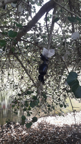 QUE ES UN ACODO AÉREO?