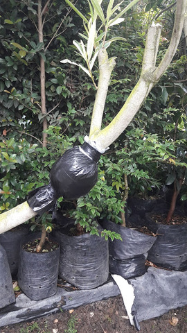 QUE ES UN ACODO AÉREO?