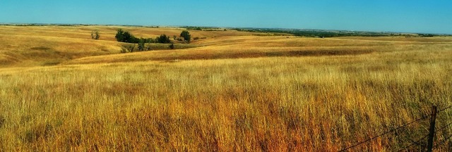 Great Plains