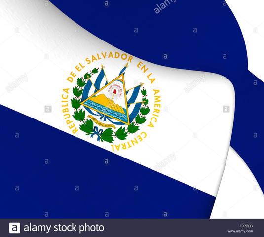 Artículo 143 de la Constitución Política