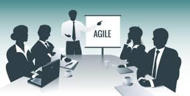 Enfoques de desarrollo de software