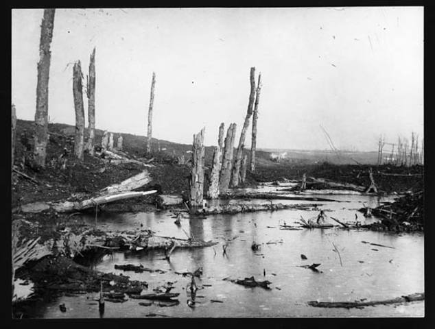 The last battle on the Somme
