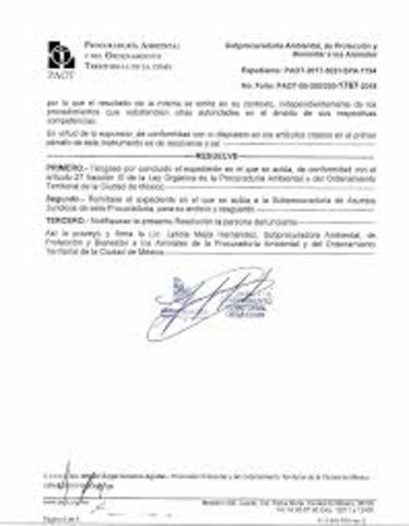 Sistemas de diligencias