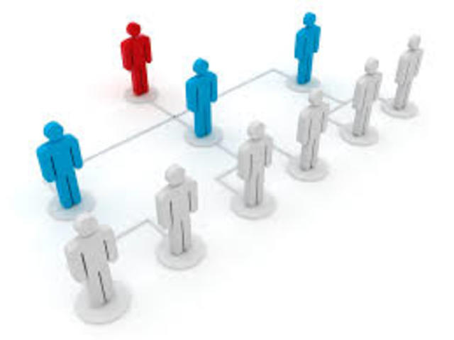 Estructura Organizacional