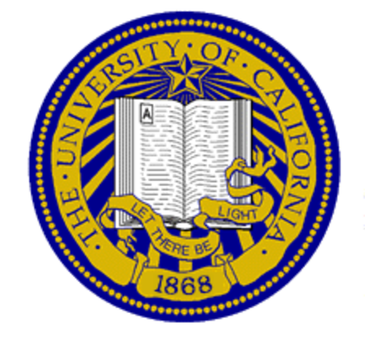 Professor of History of School