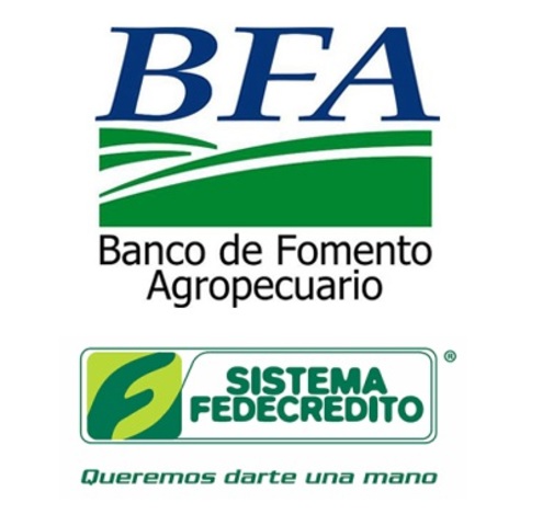 Nacen financieras y bancos