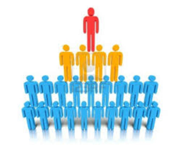 Estructura Organizacional