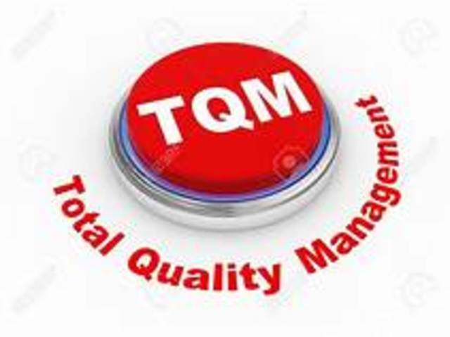 Enfoque en la organizacion, cliente interno y externo, sistemas de TQM y QFD, procesos de integración total