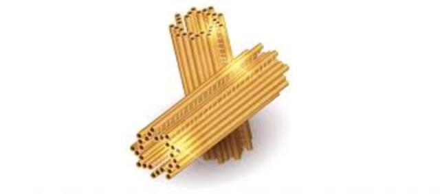 Apparition des "vrai" centrioles