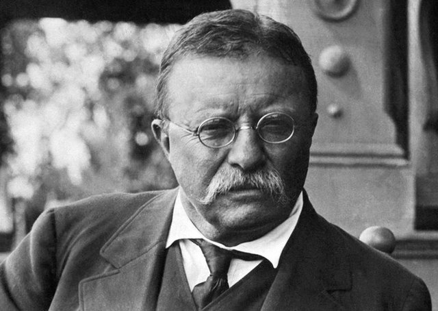 Theodore Roosevelt