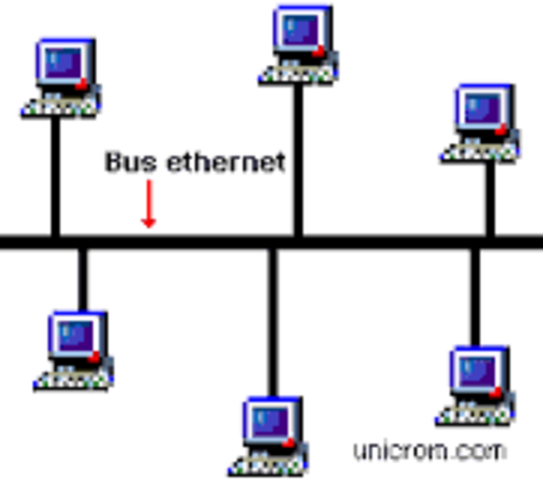 Se crean redes LAN Ethernet