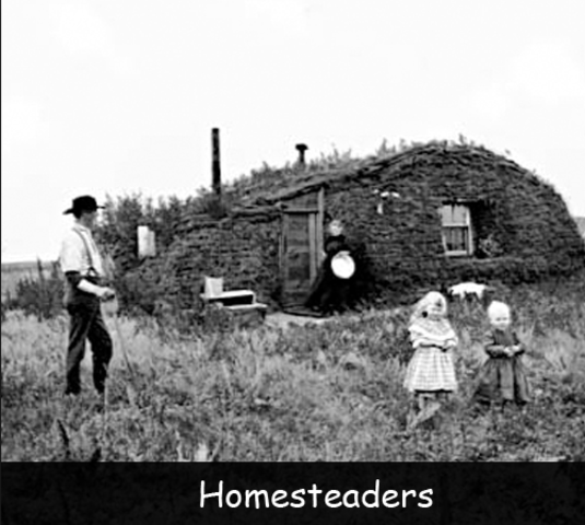 Homesteader