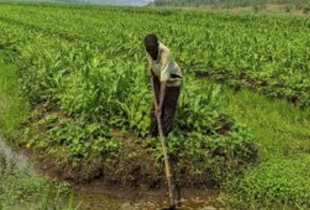 Opens Farmer Support Center in Kigali, Rwanda. 2009