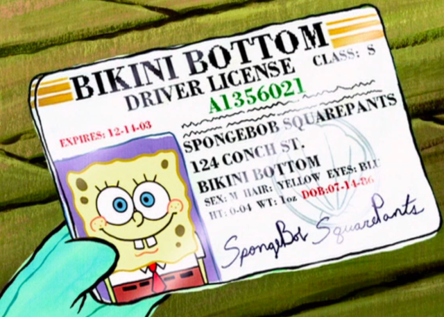 Cuando obtuve mi licencia de conducir.