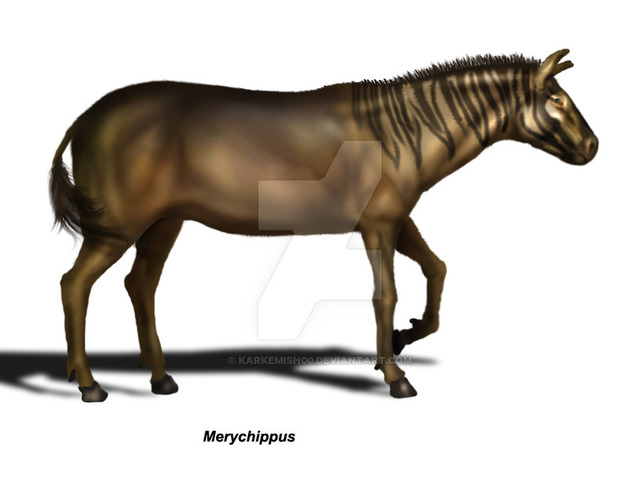 Merychippus
