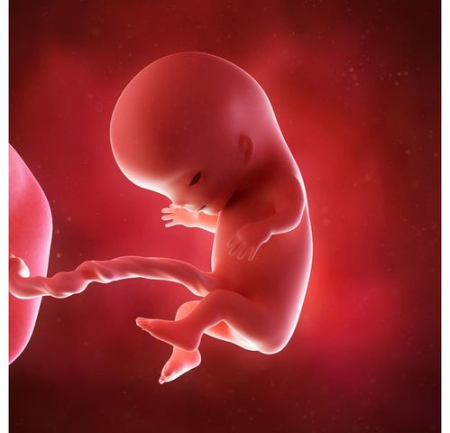 Proceso de aprender a hablar