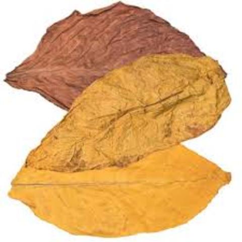 Descubrimiento de la nicotina