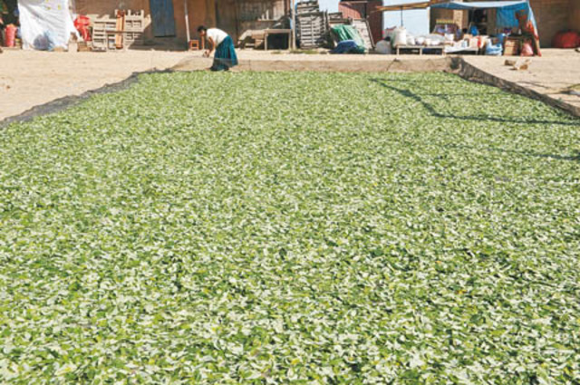 principio del siglo XX