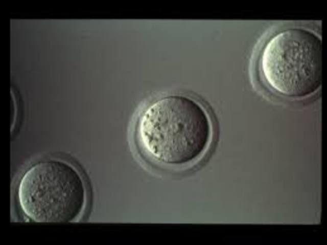 Científicos de la universidad de Pensilvana