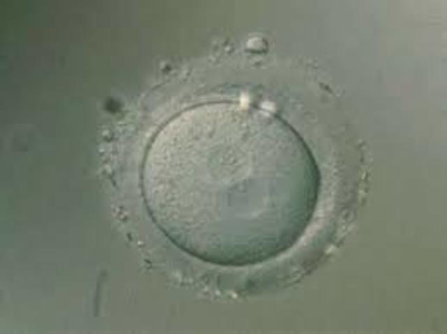 Jerry Hall y Robert Stilmann