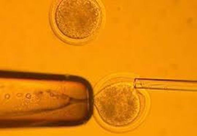 Transferencia nuclear