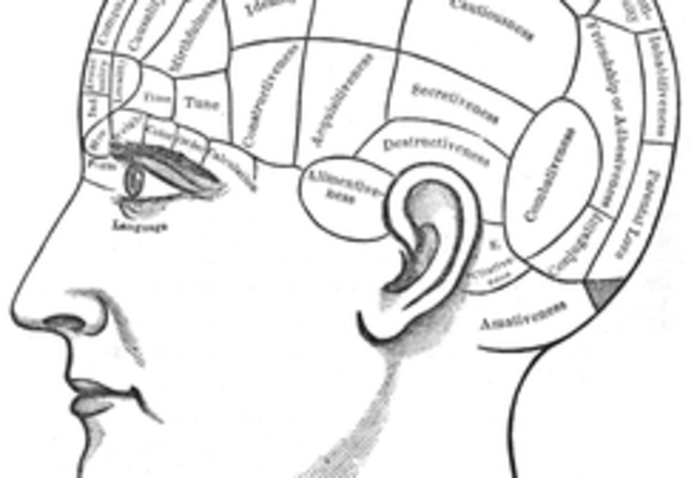 Principles of Frenology!