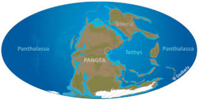 Formació primera Pangea