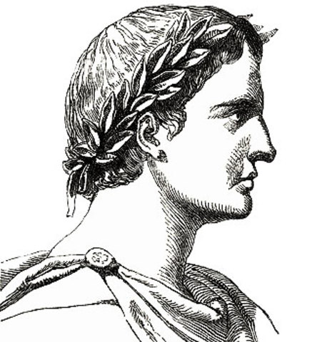 LA METAMORFOSIS (Ovidio)