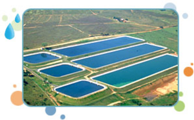 Várias ações de Educação Ambiental na empresa