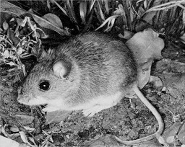 10.) Fire Has Calmed Down; A Special Connection