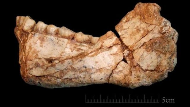 El verdadero origen del Homo Sapiens