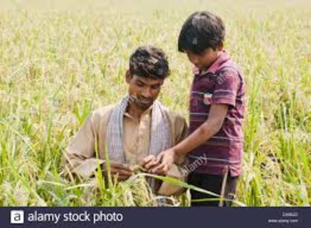 A Man finds Him and Brings Him to his Farm