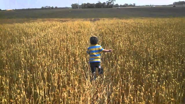 He is Told to Run and They Gave Him a Loaf of Bread