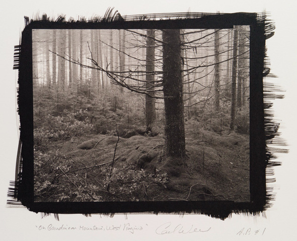 Platinum print