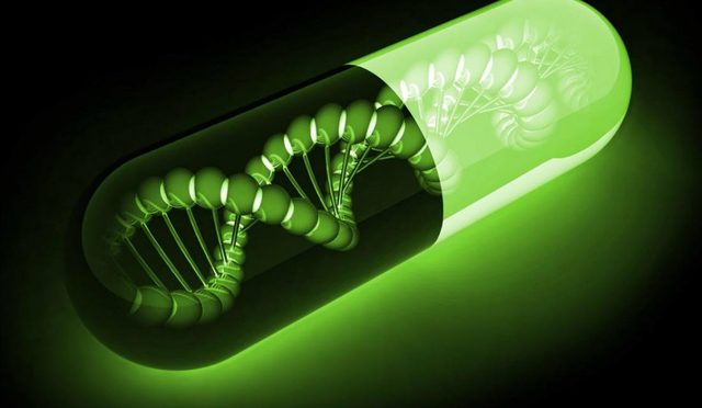 El papel del ADN en la herencia