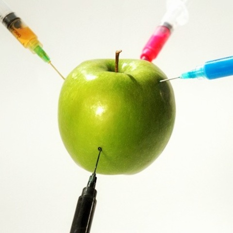 El surgimiento de la genética