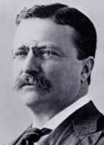 Theodore Roosevelt