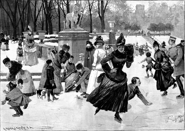 Patines sobre Ruedas