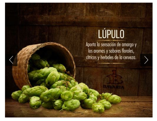 Ingredientes de la cerveza