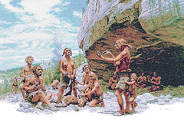 El clima era más cálido y húmedo que el actual