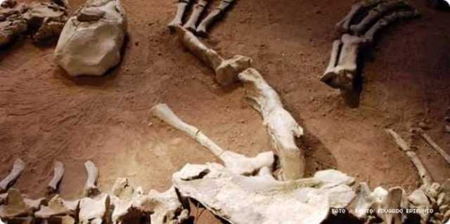 15 mil años occidente de mexico